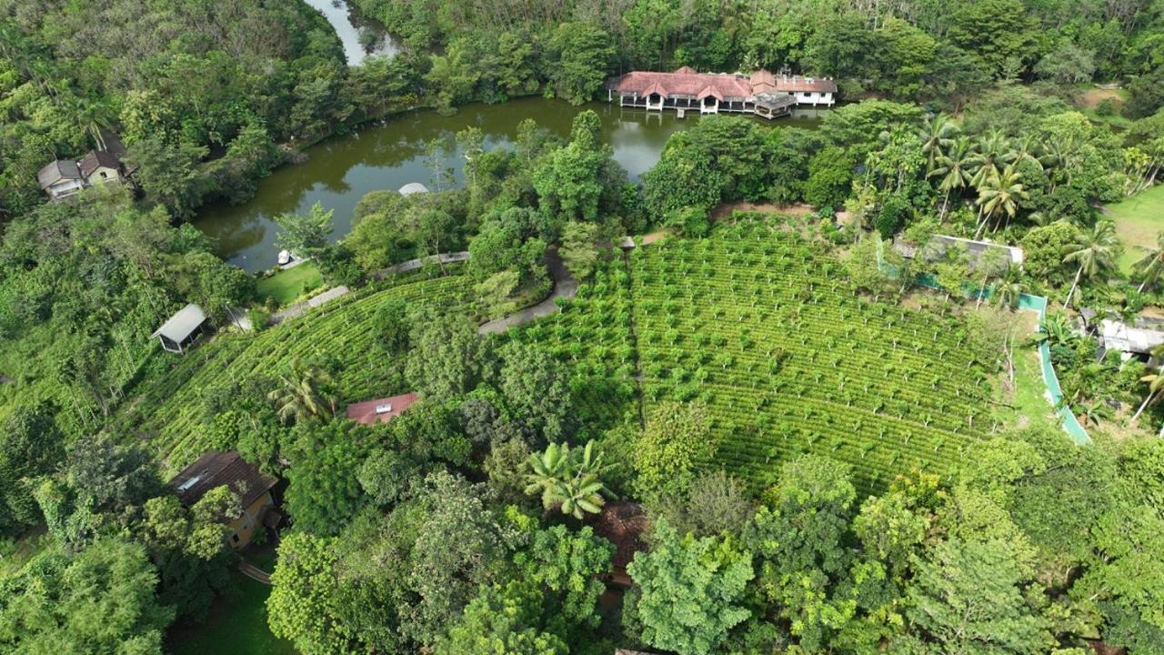 Lake Serenity Resort & Spa Kuruwita 外观 照片