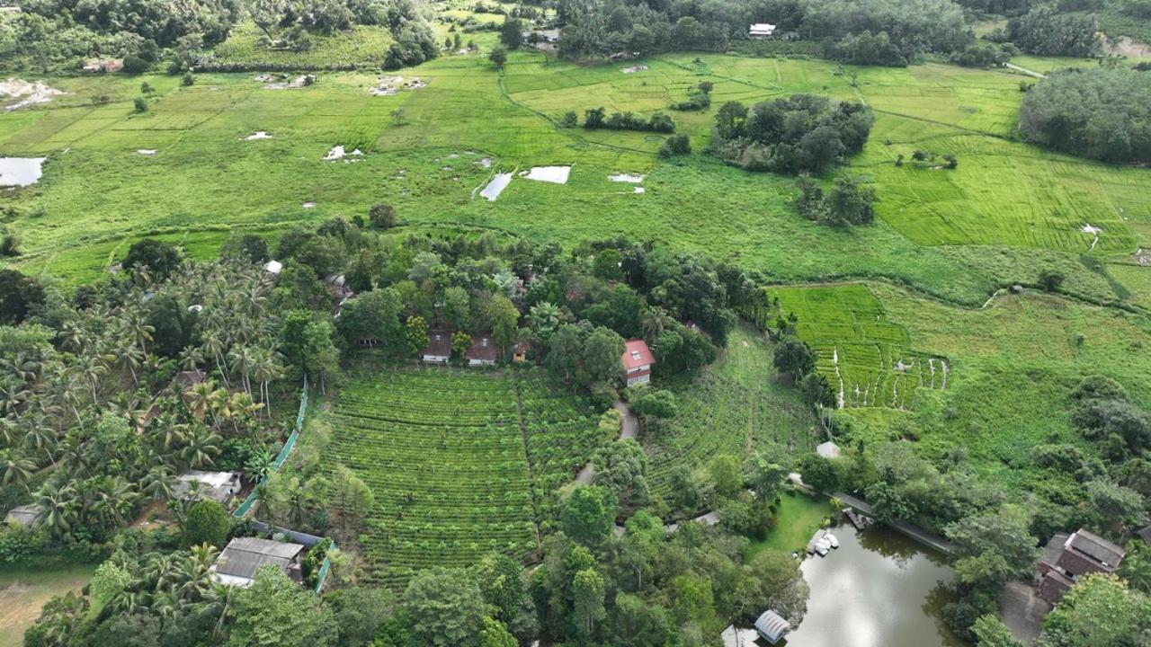 Lake Serenity Resort & Spa Kuruwita 外观 照片